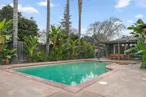 The Dazey Oasis I Pool I Arcade - Image 3