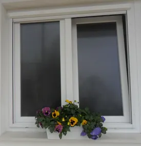 Agape - Image 4