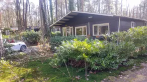 Bos chalet max. 4 pers. 9 km from Maastricht - Image 4