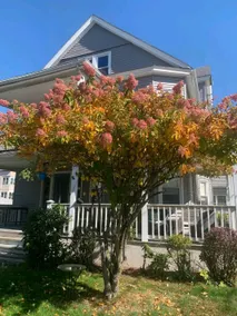 Bright and cozy 3 bedroom apartment in Chicopee - Image 2