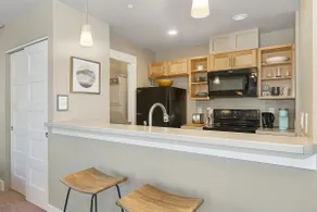 Spacious New Studio! Close to Old Town & Foothills - Image 3