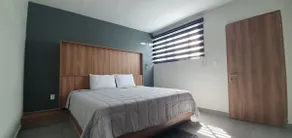 New San Carlos Apartment - Image 5