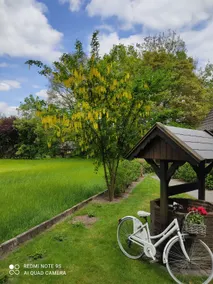 Pure nature, idyllic house with 4 bicycles! - Image 5