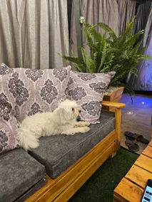 JM's Airbnb - Image 4