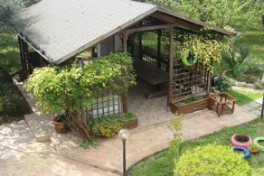 AT SARA'S - Image 3