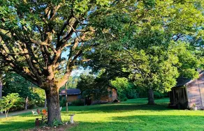 Newly Remodeled Home Sleeps 14; 3 miles to Montauk - Image 4