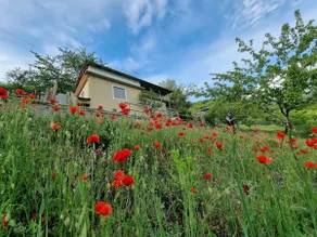 Private house on Aosta, parking, top view, Wi-Fi - Image 2