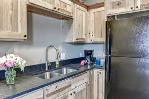 Waynesville, NC Apartment ~ Rolling Stone - Image 4