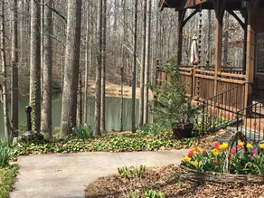 Yadkin Valley Vineyard Cabin-cozy & private - Image 5