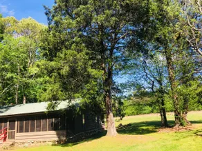 Private Cabin • Hot Tub • Pet Friendly • WiFi - Image 4