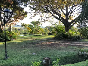 Hacienda Boutique La Romelia House - Image 2