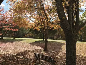 Golf View Serenity - Image 3