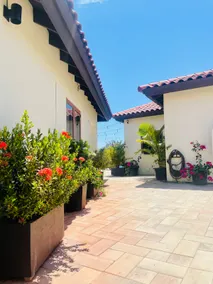 NEW Luxury 1 BR AP w Private Pool / 3M DR to Beach - Image 3