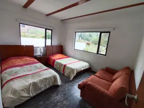 Provençal - Image 4