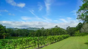 Mill Pond Cabin: Boutique Vineyard Stay - Image 4