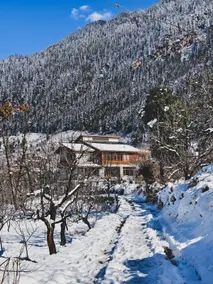 Kaizen Luxe - Best Luxurious Villa in Manali. - Image 2