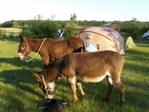 45 minutes from Beauval Zoo, surrounded by nature! - Image 5