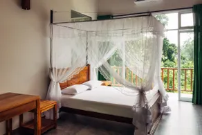 The whole Villa is yours! (Organic Food & Nature) - Image 4