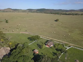 Haras dos querubins - Image 2