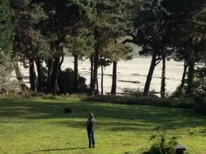Mendocino Beach House med utsikt och Beach Path direkt från gården! - Image 2