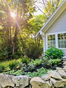 The Little Cottage - Under the Trees & By the Sea - Image 2