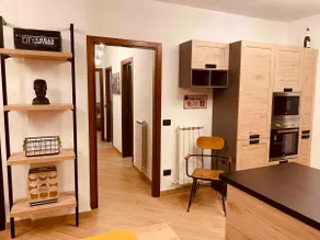 Brand new modern apartment with garage - Image 5