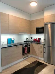 Modern city apartment with Sauna nearby the Airport - Image 3