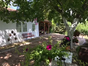 Sumski Mir, a place with a view Fruska Gora Irig - Image 3