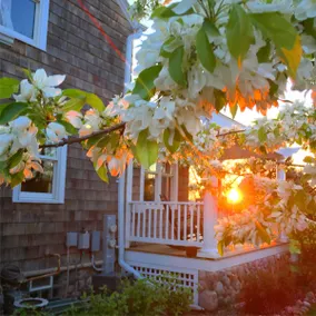 Estate on 1 Acre-Walk to Beach-Hot Tub-Sleeps 16 - Image 5