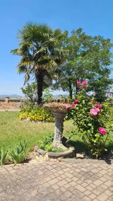 Relaxing home in the Monferrato hills - Image 4