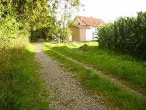 Single family home close to Munich and ICM - Image 2