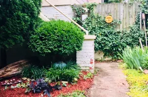 Charming Bungalow Apartment - Biltmore Area - Image 2