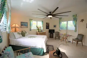 SUITE ALOHA - Play at the Beach - Image 3
