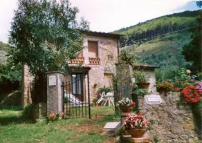 Casa Myricae: relaxation among olive trees and camellias - Image 2