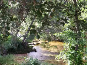 ”Villa Rodríguez” vacation rental - Image 3