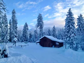 Strawberry Mnt Lookout-Tranquil Retreat On 5 Acres - Image 4