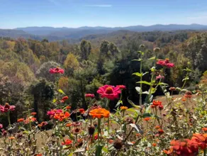 Mountain Vista - Image 3