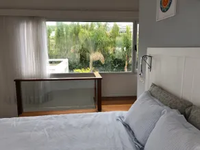 Casa Sol, meters from the beach, brand new!! - Image 5