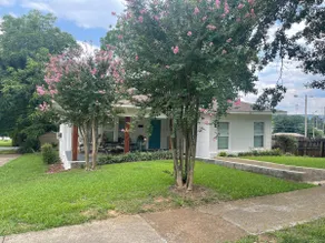 Gunter Ave Cottage! Fab Location! Pet friendly - Image 4