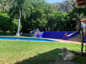 Fifth Estela Tepoztlan - Image 4
