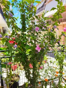 Napier Apartment - Image 4