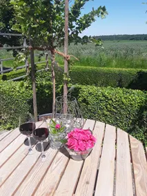 Beautiful living with terrace in a great location - Image 4