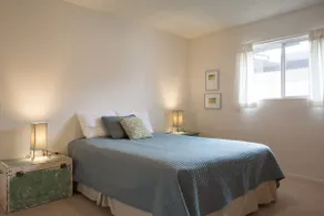 The Ocotillo House - Image 2