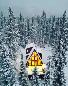Modern Rustic A-Frame Cabin with Barrel Sauna - Image 3