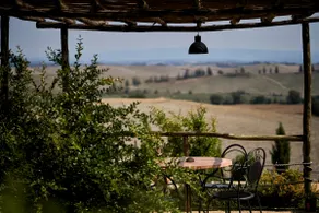”Sunflower” apartment with view of Siena - Image 5