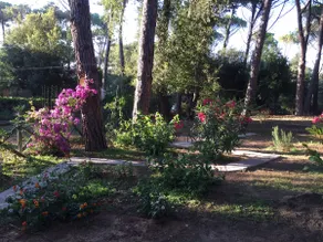Villa com belo jardim e vistas verdes. Praia de Punta Ala a 0,9 km - Image 5