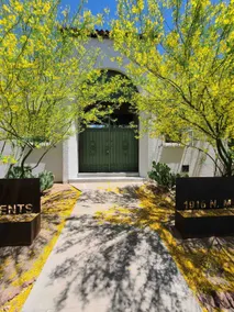 A Desert Garden 206 - Image 5