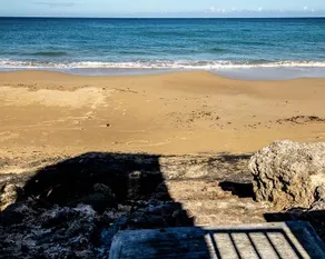 Aguada (a) Island Oasis-Beach, Ocean, Pool! - Image 5