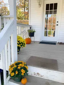 Tiny cottage on DiR mini farm - Image 2