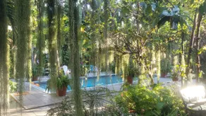 Orchid Cottage - Image 5